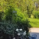 Un Brin De Paradis 