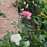 Un Brin De Paradis 