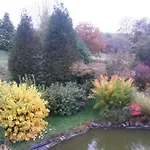Un Brin De Paradis 