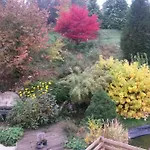 Un Brin De Paradis 