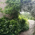 Un Brin De Paradis 