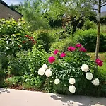 Un Brin De Paradis 