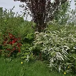 Апартаменты Un Brin De Paradis 