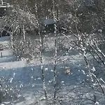Un Brin De Paradis 