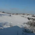 Un Brin De Paradis 