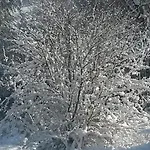 Un Brin De Paradis 