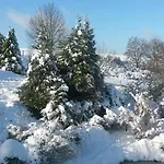 Un Brin De Paradis 