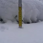 Апартаменты Un Brin De Paradis 