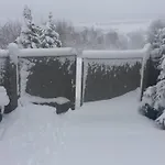 Un Brin De Paradis 