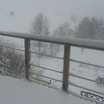 Un Brin De Paradis 