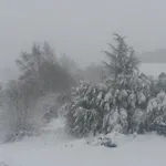 Апартаменты Un Brin De Paradis 
