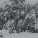Un Brin De Paradis 