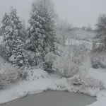 Un Brin De Paradis 