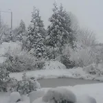 Апартаменты Un Brin De Paradis 