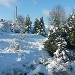Un Brin De Paradis 