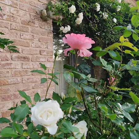 Un Brin De Paradis De 100 M²