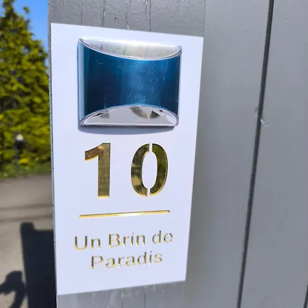 Un Brin De Paradis 