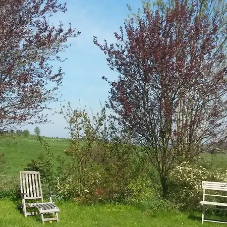 Un Brin De Paradis 