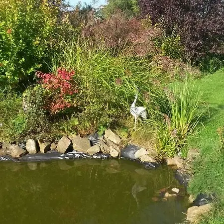 Un Brin De Paradis 