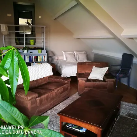 Appartement Un Brin De Paradis 