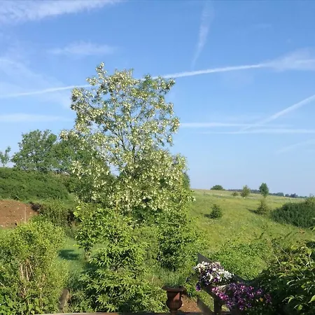 Un Brin De Paradis 