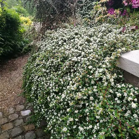 شقة Un Brin De Paradis 