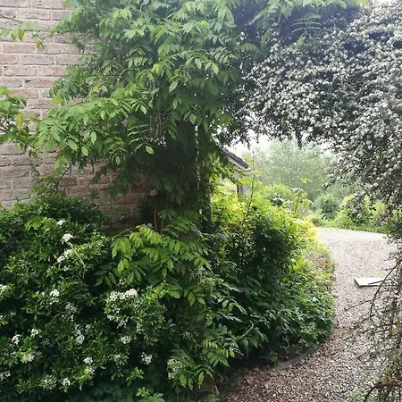 Un Brin De Paradis 