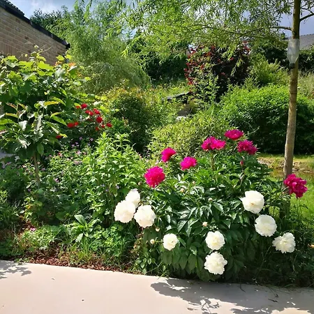 Un Brin De Paradis De 100 M² Appartement *