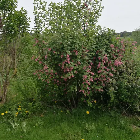 شقة Un Brin De Paradis 