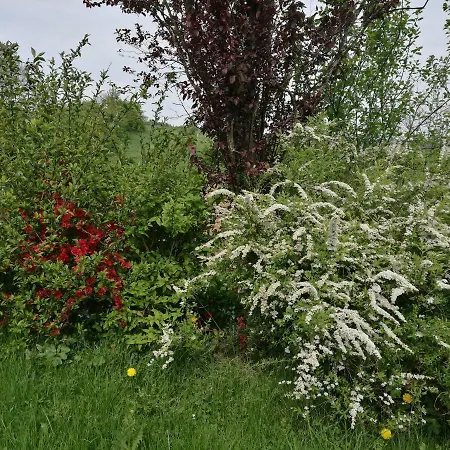 شقة Un Brin De Paradis 