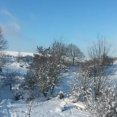Un Brin De Paradis 