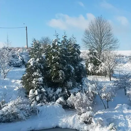 アパート Un Brin De Paradis 