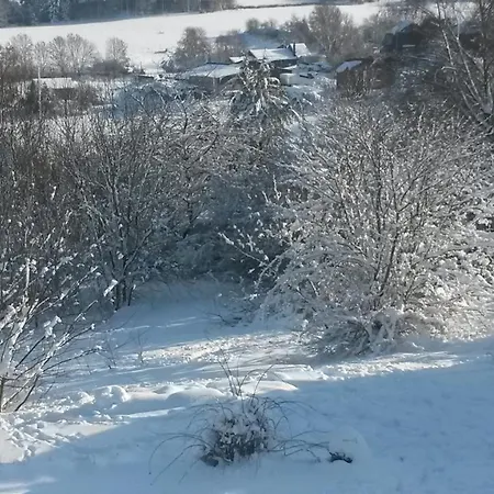 Un Brin De Paradis 