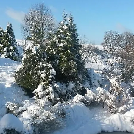 Un Brin De Paradis 