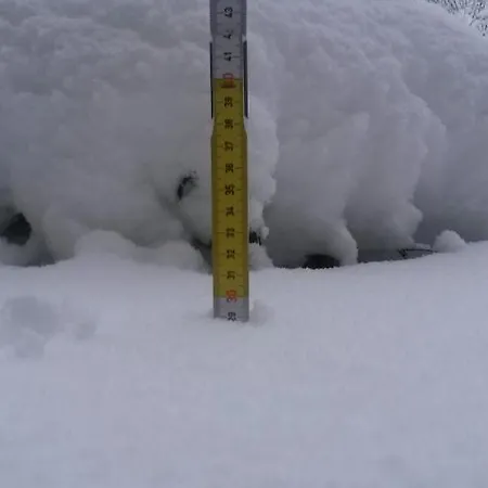 アパート Un Brin De Paradis 