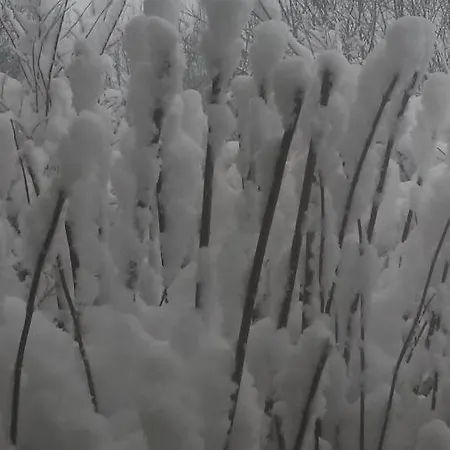 Apartamento Un Brin De Paradis 