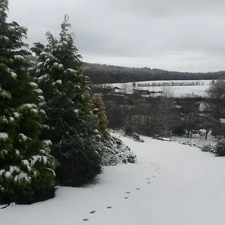 Un Brin De Paradis 