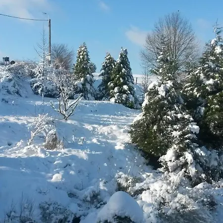 Un Brin De Paradis 