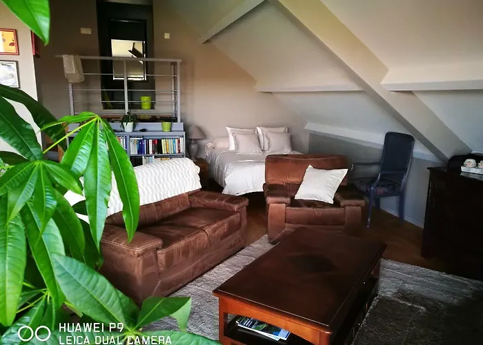 Apartment Un Brin De Paradis 