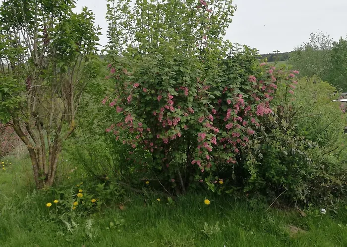 Appartement Un Brin De Paradis 