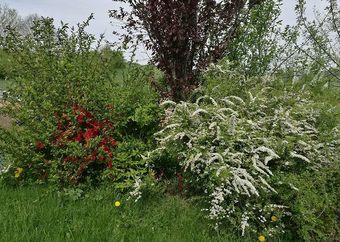 Appartement Un Brin De Paradis 
