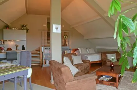 Apartment Un Brin De Paradis 