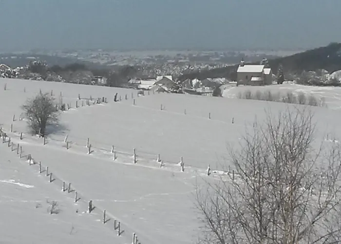 Appartement Un Brin De Paradis 