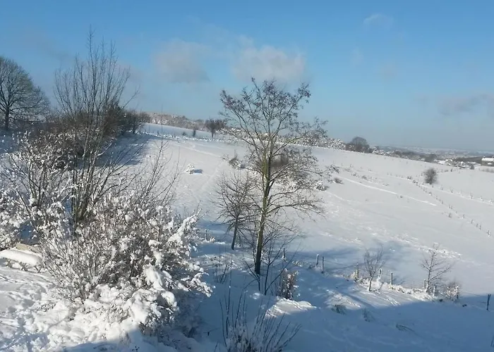 Appartement Un Brin De Paradis 