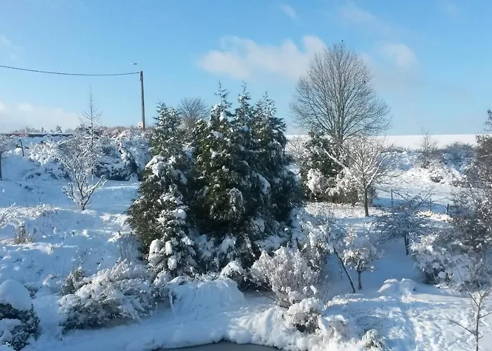 Appartement Un Brin De Paradis 