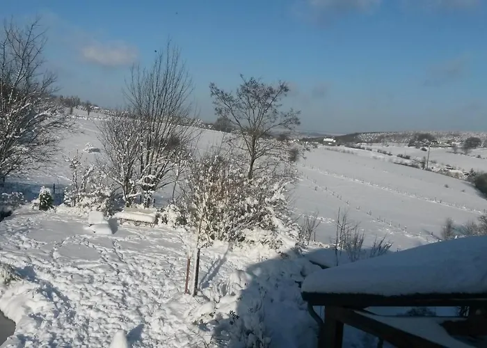 Appartement Un Brin De Paradis 