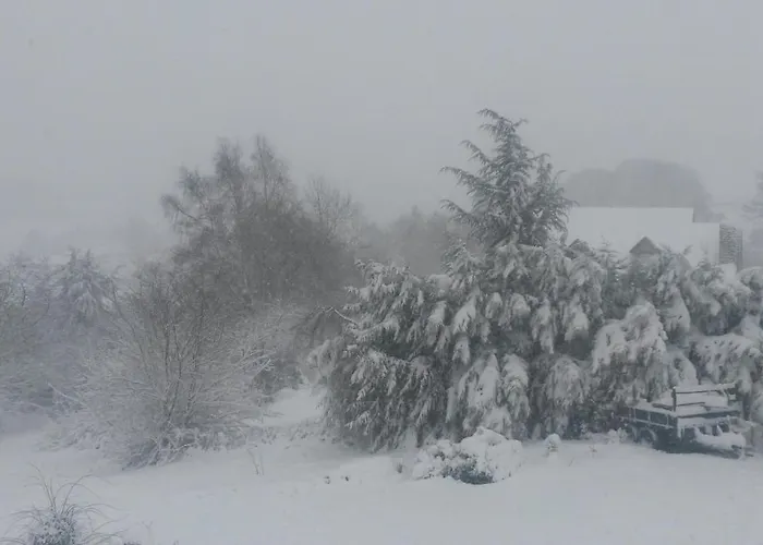Appartement Un Brin De Paradis 