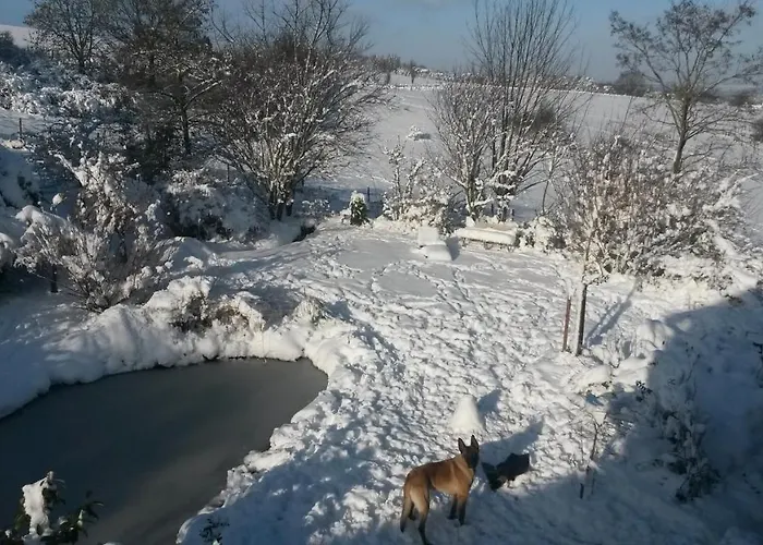 Appartement Un Brin De Paradis 
