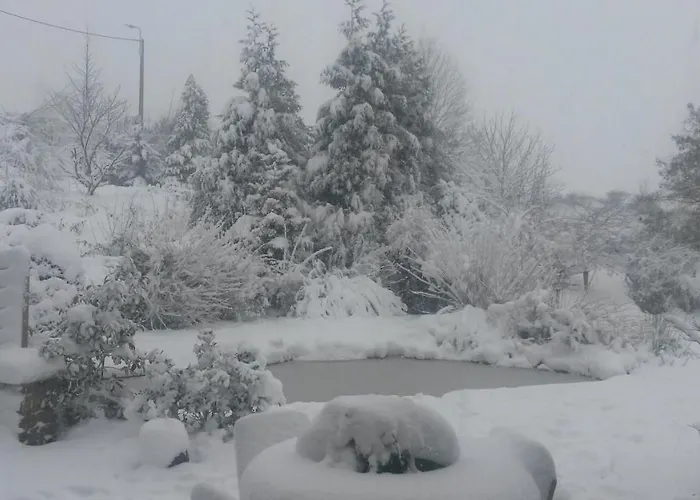 Appartement Un Brin De Paradis 